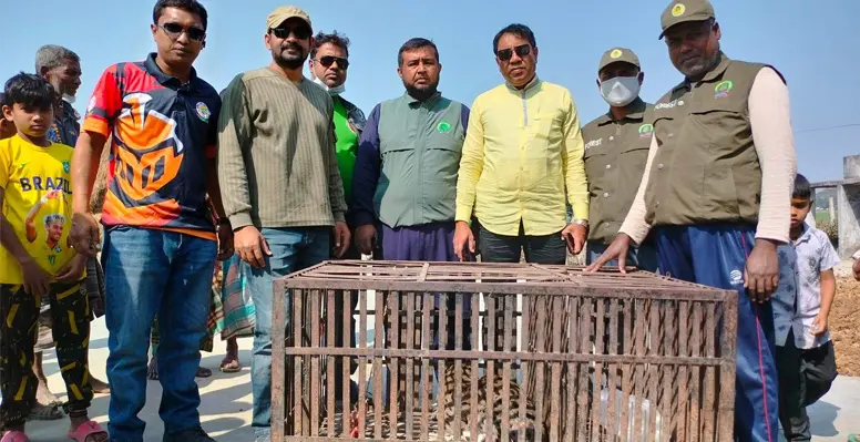 46 11 02 23 কুষ্টিয়ায় মেছোবাঘ উদ্ধার