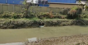 কুষ্টিয়া মেটাল ইন্ডাস্ট্রিজ লিঃ দূষিত পানিতে হুমকির মুখে পরিবেশ