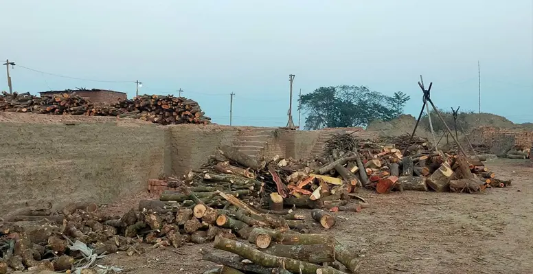 ছাড়পত্র নেই, কুষ্টিয়ায় তবুও চলছে ইটভাটা