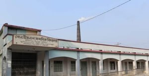 মিরপুরে ইট ভাটায় ২ লক্ষ টাকা জরিমান