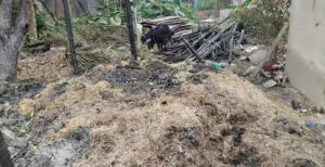 দৌলতপুরে আগুনে বসতঘরসহ ৫ লাখ টাকার সম্পদ ভষ্মিভূত