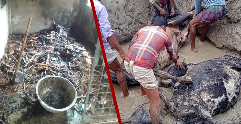 কুমারখালীতে আগুনে পুড়ে গবাদিপশু সহ ৮ লাখ টাকার ক্ষতি