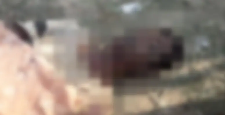 দৌলতপুরে মাঠ থেকে যুবকের মরদেহ উদ্ধার