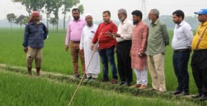 কুমারখালীতে প্রথম বারের মতো সমলয় পদ্ধতিতে ৫০ হেক্টর জমি চাষ