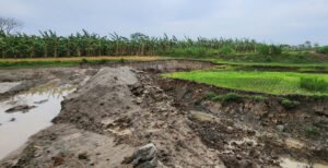 ভেড়ামারায় কৃষি ও সরকারি জমির মাটি হরিলুট