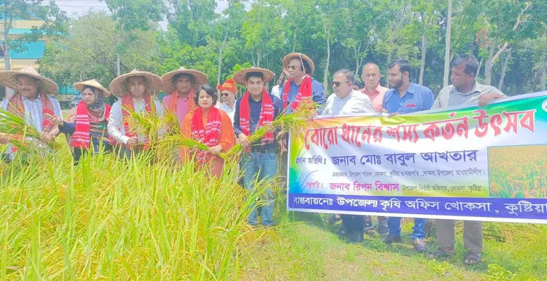 খোকসায় বোরো ধানের শস্য কর্তন উৎসব