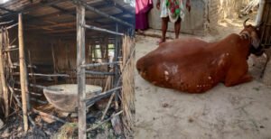 কুমারখালীতে বিদ্যালয়ের নির্বাচনের রাতে প্রতিপক্ষের দুই ভাইয়ের বাড়িতে আগুন