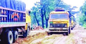 কুষ্টিয়া-ভেড়ামারা সড়কের বেহাল দশা