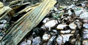 কুমারখালীতে বিদ্যালয়ে আগুন: থানায় জিডি, তদন্ত কমিটি গঠন