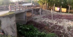 কুষ্টিয়ায় বিএনপি নেতার বিরুদ্ধে জিকে খালের পানি প্রবাহ বন্ধ করার অভিযোগ