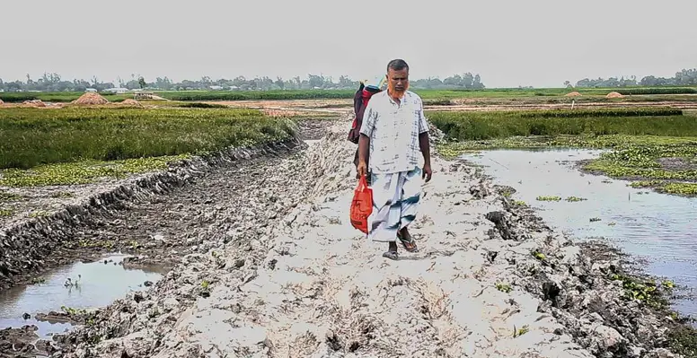 কুমারখালী পদ্মানদীর কোলে যাতায়াতের বাঁধ নির্মাণ, দু'পক্ষের পাল্টাপাল্টি অভিযোগ