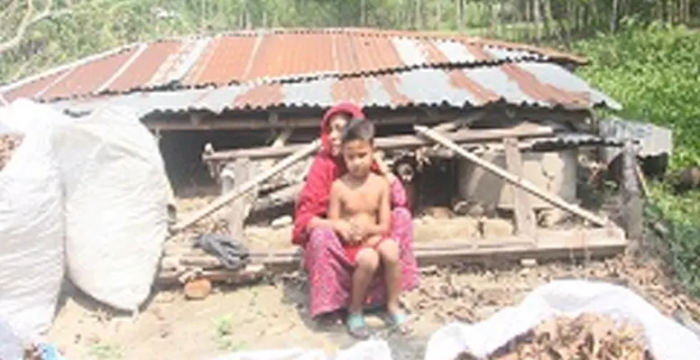 কুমারখালীতে ঝড়ে ভাঙল বিধবার ঘর, ফসলের ক্ষতি