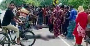 খোকসায় বাসচাপায় প্রাণ গেল ২ কলেজছাত্রের