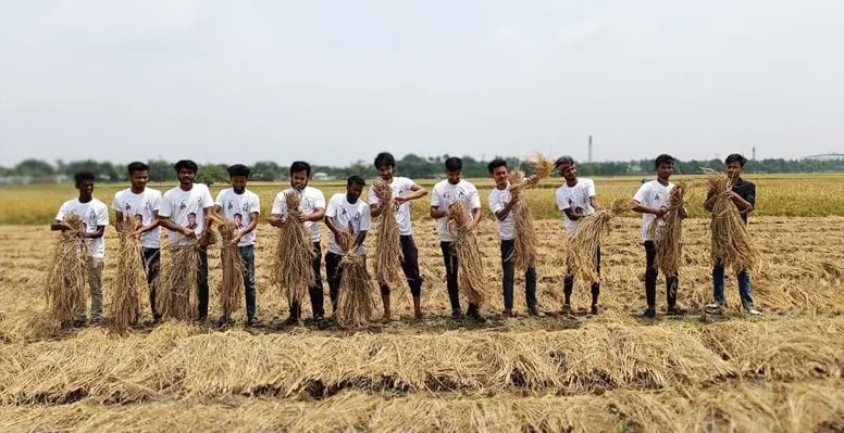মিরপুরে কৃষকের ধান কেটে দিলো ছাত্রলীগ