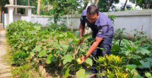 কুমারখালী বাঁশগ্রাম পুলিশ ক্যাম্পে পরিত্যাক্ত জমিতে শোভা পাচ্ছে হরেকরকম সবজি