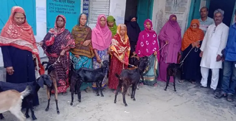 কুষ্টিয়া রোটারী ক্লাব অফ ঢাকা উত্তরের অর্থায়নে দরিদ্র নারীদের মাঝে ছাগল বিতরণ