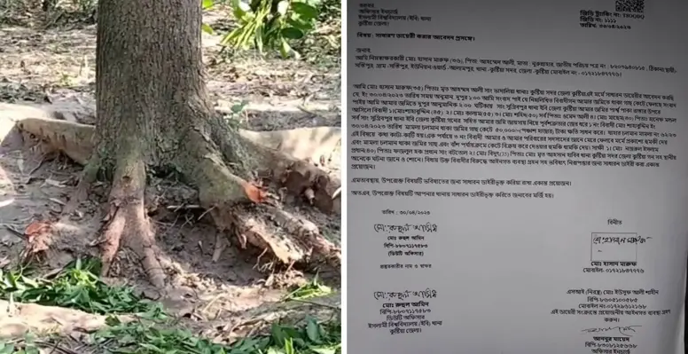 কুষ্টিয়ায় জোরপূর্বক জমি জবর দখল ও গাছ কেটে নেওয়ার অভিযোগ