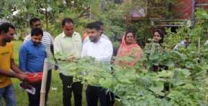 কুমারখালীতে সরকারি অফিসের আঙিনায় পুষ্টি বাগান: মিটছে পুষ্টির চাহিদা