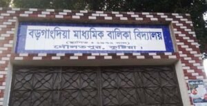 আদালতের নিষেধাজ্ঞা অমান্য করে দৌলতপুরে বড়গাংদিয়া মাধ্যমিক বালিকা বিদ্যালয়ে বিএনপি-জামাত কর্মীদের নিয়োগ দেওয়ার অভিযোগ