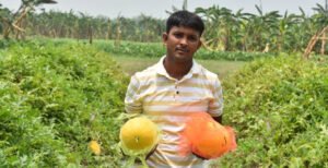 ইউটিউব দেখে তরমুজ চাষ, দুইমাসে দেড় লাখ টাকা আয়
