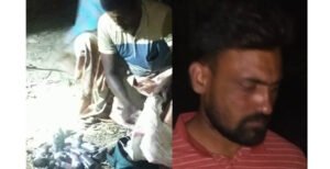 দৌলতপুরে ফেনসিডিল সহ রনি আটক