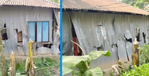 জমি সংক্রান্ত বিরোধের জেরে মহিলা মেম্বারের বাড়িতে হামলার অভিযোগ ইউপি চেয়ারম্যানের বিরুদ্ধে