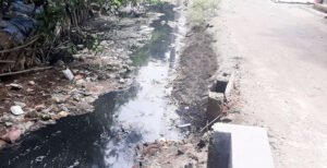 কুষ্টিয়ায় চালকলের দূষিত বর্জ্যে হুমকিতে পরিবেশ