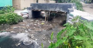 কুষ্টিয়ায় চালকলের দূষিত বর্জ্যে হুমকিতে পরিবেশ