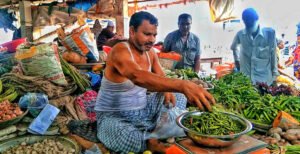 কুমারখালীতে রাতারাতি কমতে শুরু করেছে কাঁচা মরিচের বাজার 