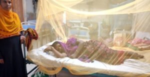 কুষ্টিয়ায় উদ্বেগজনক হারে বাড়ছে ডেঙ্গু রোগীর সংখ্যা