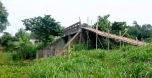 কুমারখালীতে রাস্তা ছাড়াই নদীর মাঝে সেতু , ৯ বছর ধরে ভোগান্তি
