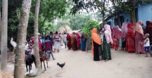 কুষ্টিয়ায় সাপের কামড়ে মা ও মেয়ের মৃত্যু