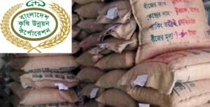 হাইব্রীড বীজের কারনে মার খাচ্ছে বিএডিসির আমন বীজ