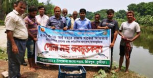 মিরপুরে উপজেলা পরিষদ পুকুরে মাছের পোনা অবমুক্তকরণ