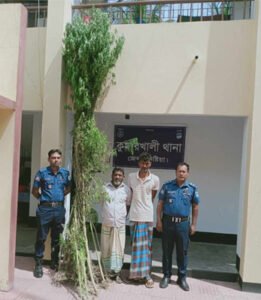 কুমারখালীতে বাড়ির আঙিনায় গাঁজাচাষ, দুই চাষী কারাগারে