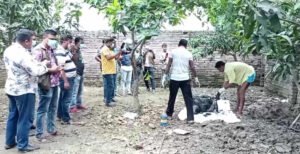 কুষ্টিয়ায় নিখোঁজের ২৭ দিন পর ইজিবাইক চালকের মরদেহ উদ্ধার, গ্রেপ্তার-১