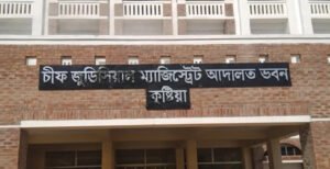 ভেড়ামারায় স্বেচ্ছাসেবকলীগ নেতা হত্যা : ৫ আসামি দুদিন করে রিমান্ডে