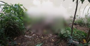 কুষ্টিয়ায় জিকে খাল থেকে বৃদ্ধের মরদেহ উদ্ধার