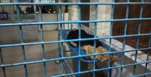 কুষ্টিয়ায় এ্যাডভোকেটের বাসায় নাসিং ইন্সটিটিউটের এক ছাত্রীর রহস্যজনক আত্মহত্যা