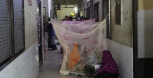 কুষ্টিয়ায় ডেঙ্গু রোগীর সংখ্যা ব্যাপক হারে বৃদ্ধি পাচ্ছে : চিকিৎসা সেবা দিতে হিমশিম খাচ্ছে হাসপাতাল কর্তৃপক্ষ