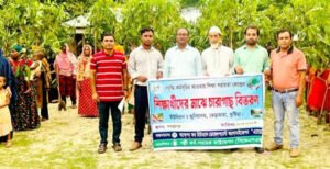 ভেড়ামারায় এ্যাডোর আয়োজনে শিক্ষার্থীদের মাঝে চারাগাছ প্রদান