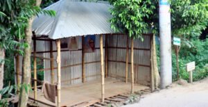 কুষ্টিয়ার হাটশ হরিপুরে খাস জমি দখল করে খোলামেলা ঘরে বঙ্গবন্ধু ও প্রধানমন্ত্রীর ছবি টানিয়েছে মাদক ব্যবসায়ীরা