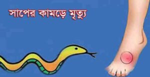 সাপের কামড়ে বাংলাদেশির মৃত্যু: ১৭দিন পর লাশ ফেরত দিয়েছে ভারতীয় পুলিশ