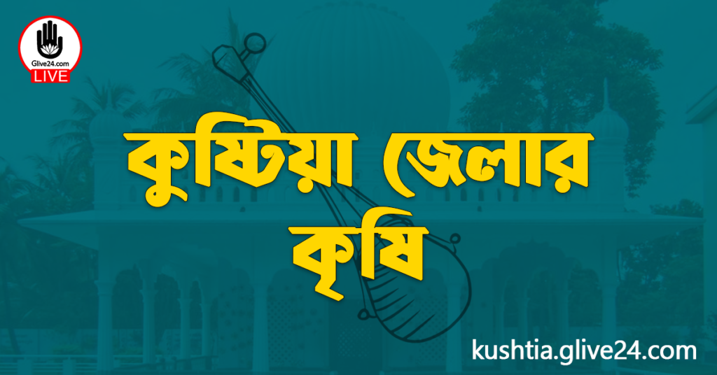 কুষ্টিয়া জেলার কৃষি