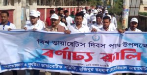 কুষ্টিয়ায় ডায়াবেটিস সচেতনতামূলক র‌্যালি