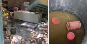 দৌলতপুরে বিএনপি নেতা সোহেলের নেতৃত্বে ভাংচুর ও লুটপাট, শতাধিক ককটেল বিস্ফোরণ