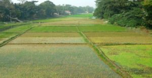 খরস্রোতা হিসনা নদী এখন মরা খাল!