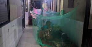 কুষ্টিয়ায় বেড়েই চলেছে ডেঙ্গু রোগীর সংখ্যা