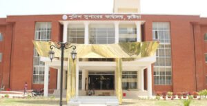 কুষ্টিয়ায় নাশকতাসহ বিভিন্ন মামলায় বিএনপি-জামায়াতের ১৬ নেতাকর্মী গ্রেপ্তার