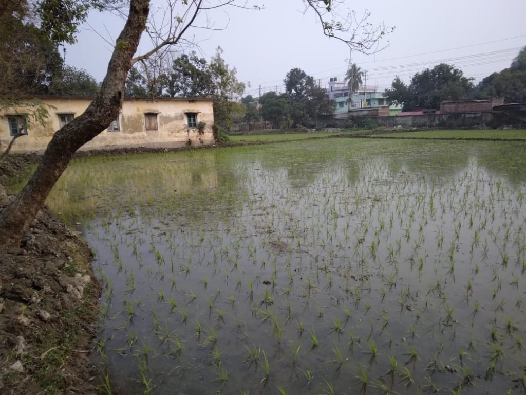 কুষ্টিয়ায় কাউন্সিলর পুত্রের দখলে সরকারি জমি 4 কুষ্টিয়ায় কাউন্সিলর পুত্রের দখলে সরকারি জমি 45 fay 6 2 24 কুষ্টিয়ায় কাউন্সিলর পুত্রের দখলে সরকারি জমি